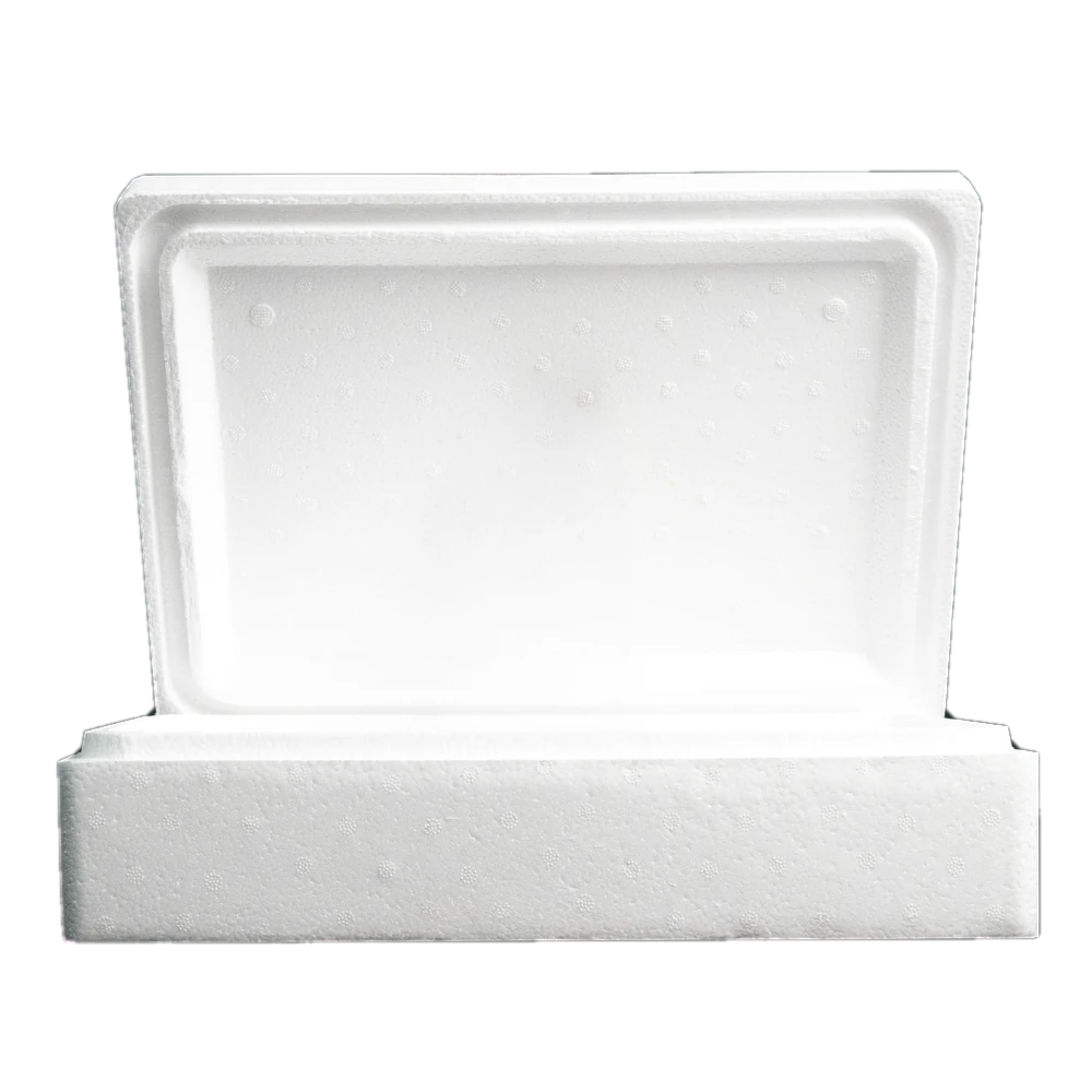 Caja térmica EPS Durapor de 10 libras modelo cuadrado